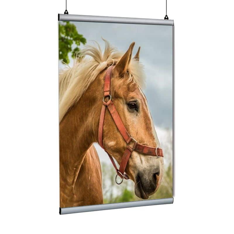 Poster Tutucu Clamp 120cm